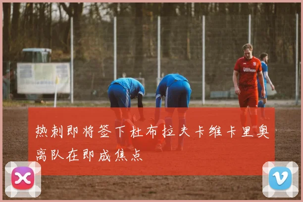 热刺即将签下杜布拉夫卡维卡里奥离队在即成焦点